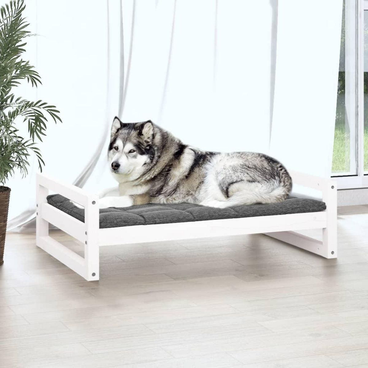 VIDAXL Lit pour chien Blanc 105,5x75,5x28 cm Bois de pin solide
