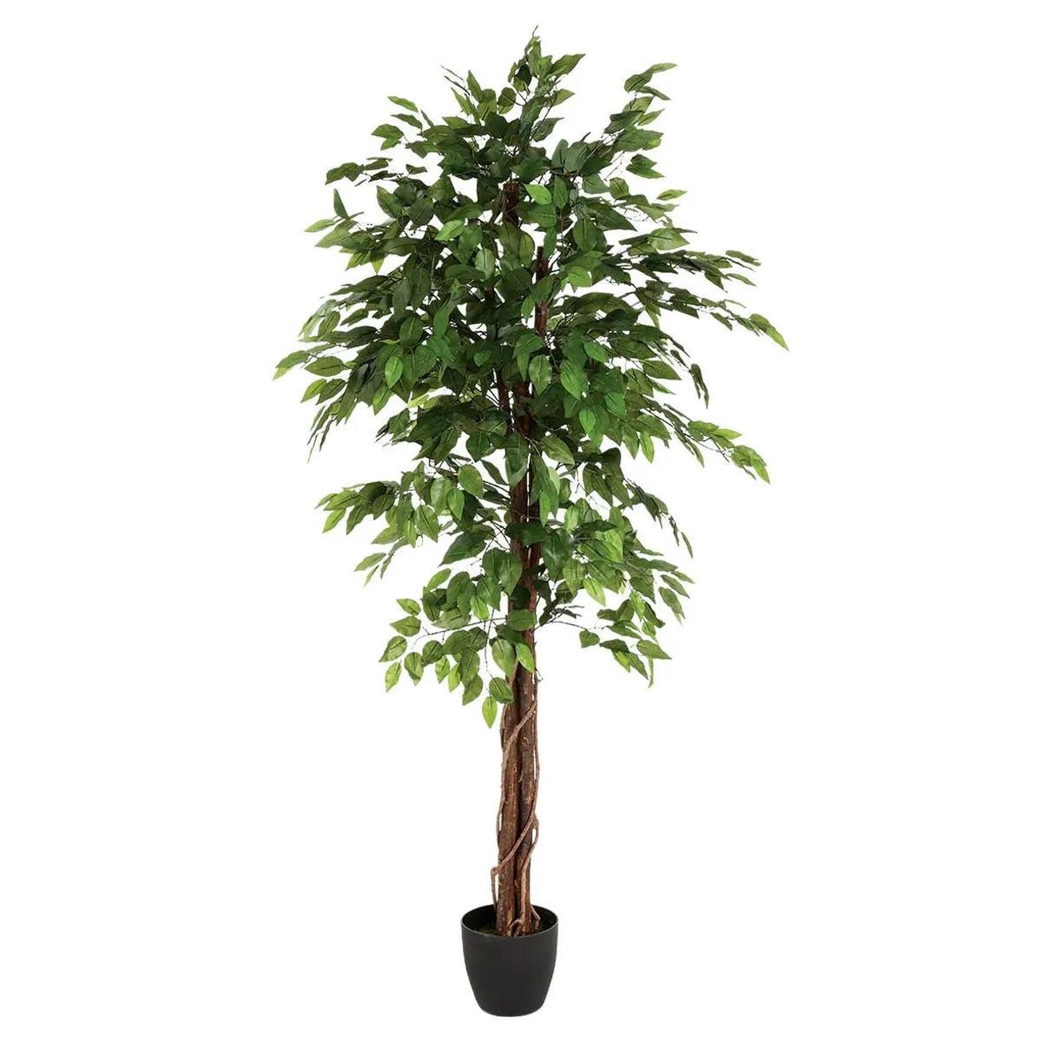 ATMOSPHERA Plante artificielle  ficus  185cm vert
