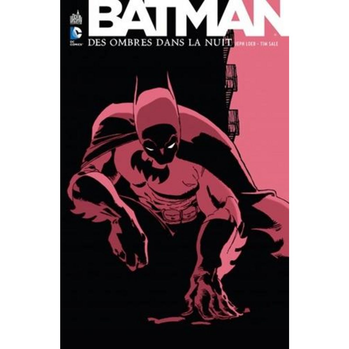 BATMAN. DES OMBRES DANS LA NUIT, Loeb Jeph