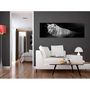 Voir la diapositive 2 : Paris Prix Tableau  Shining Tiger Black & White Narrow