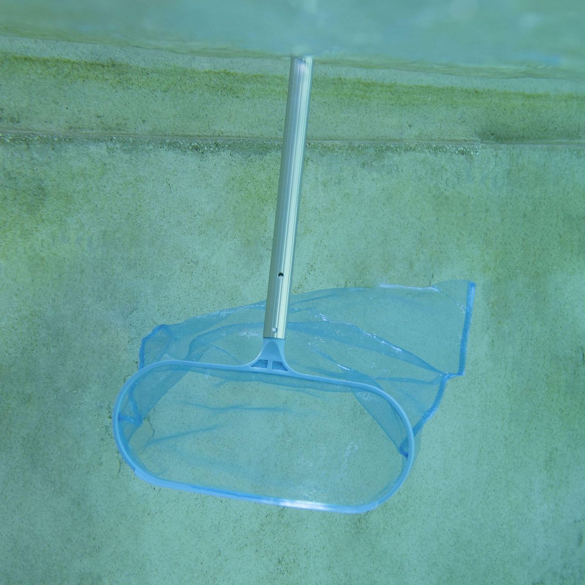 WERKAPRO Épuisette de fond WERKA PRO pour piscine