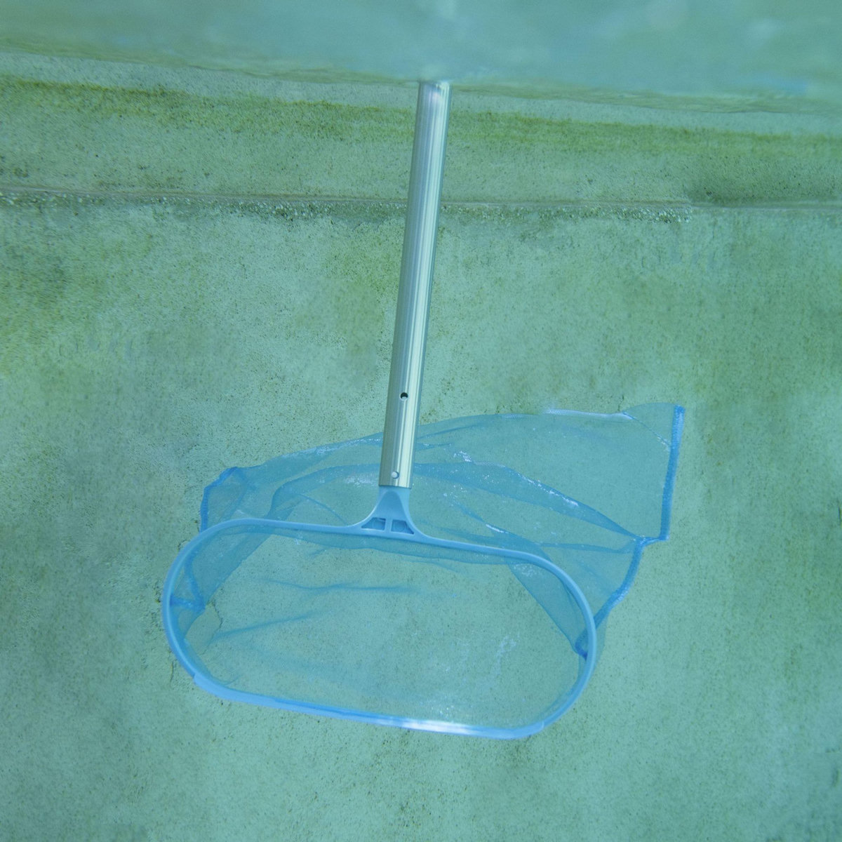 WERKAPRO Épuisette de fond WERKA PRO pour piscine