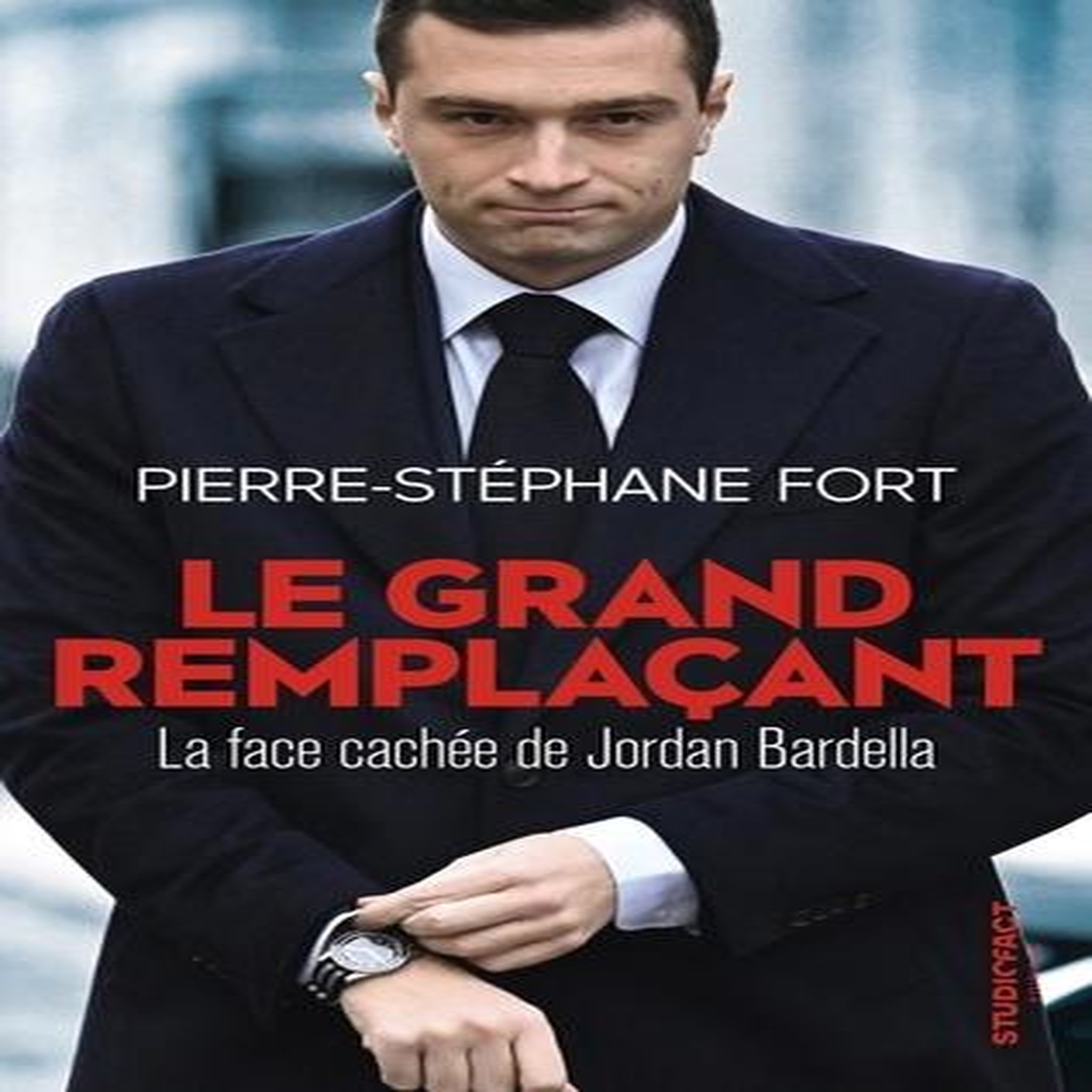 LE GRAND REMPLACANT. LA FACE CACHEE DE JORDAN BARDELLA, Fort Pierre-Stéphane
