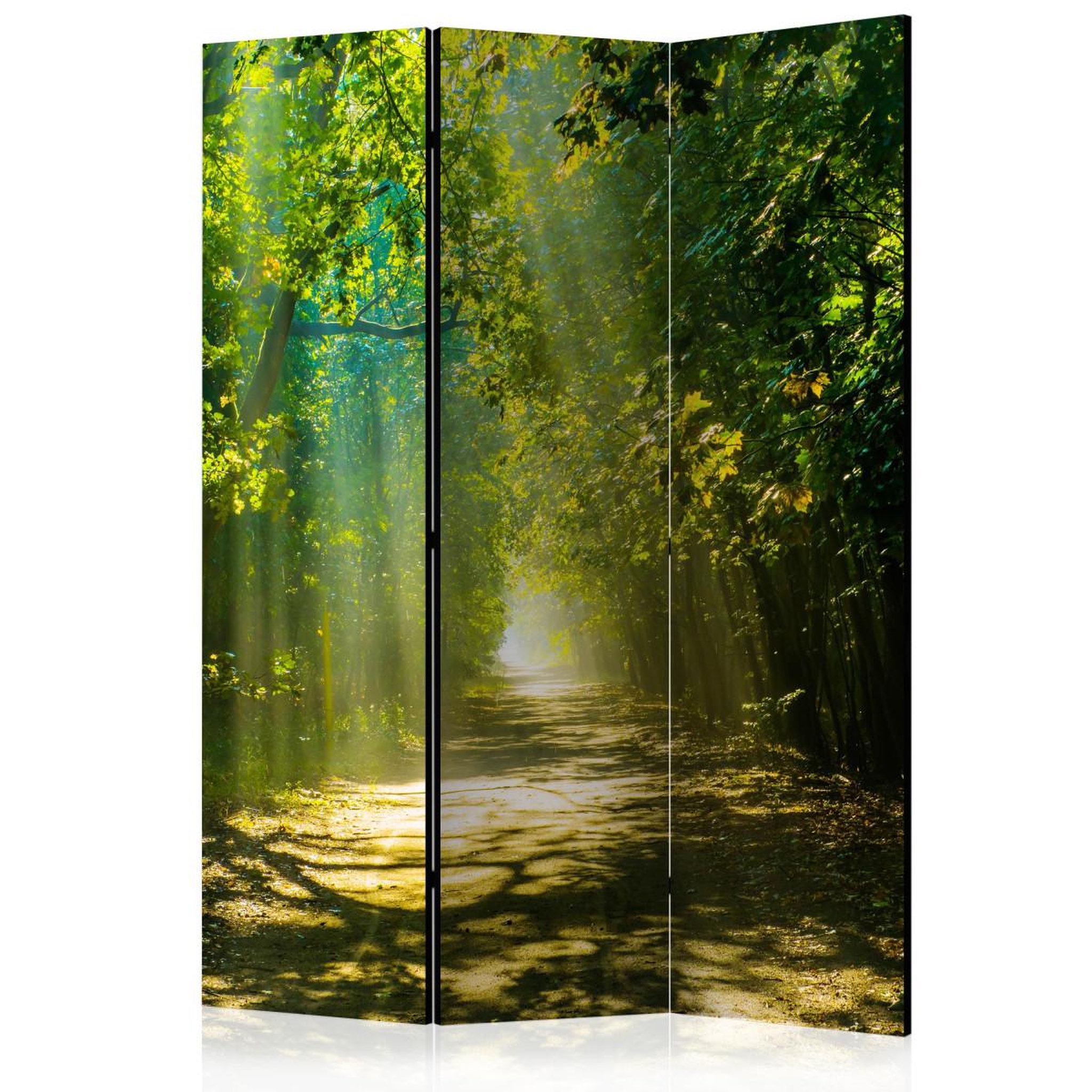 Paris Prix Paravent 3 volets  road in sunlight  135x172cm