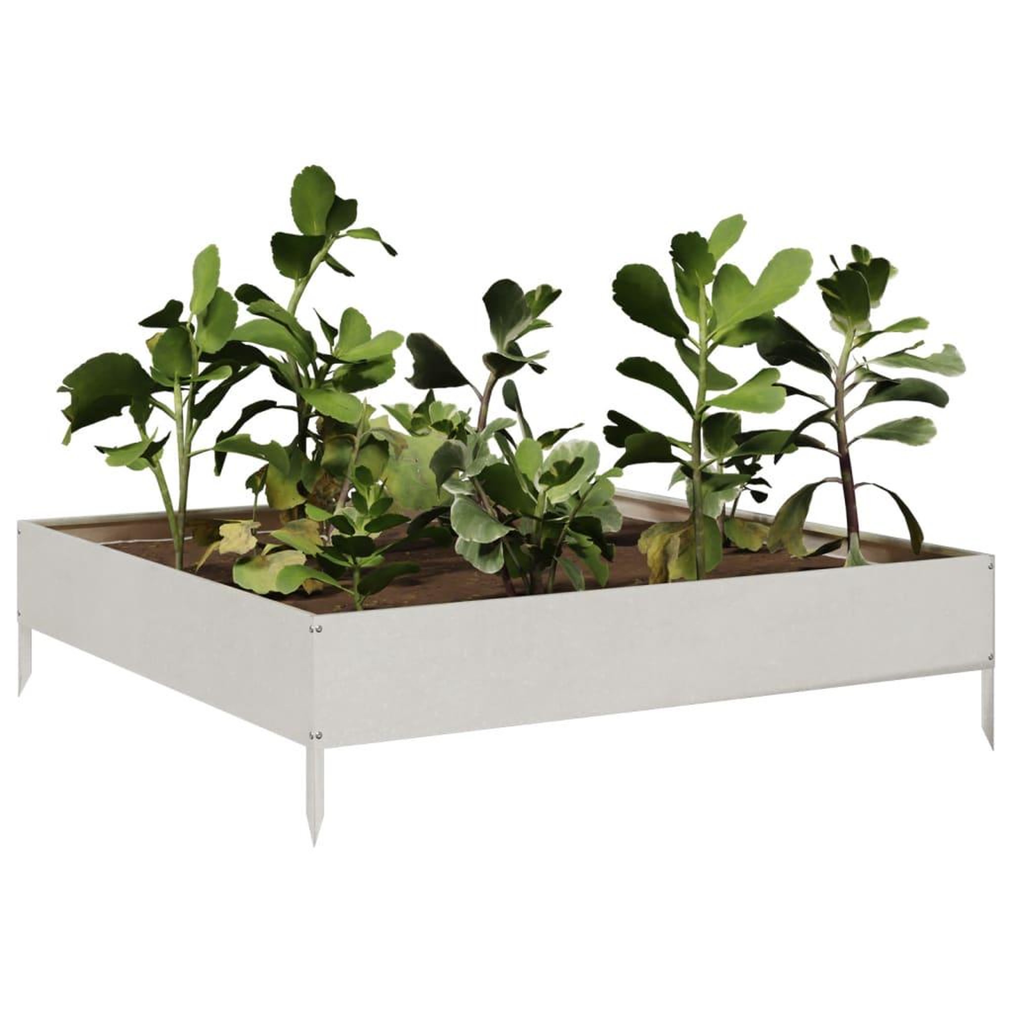 Voir la diapositive 3 : VIDAXL Lit sureleve de jardin 100x100x26 cm acier inoxydable