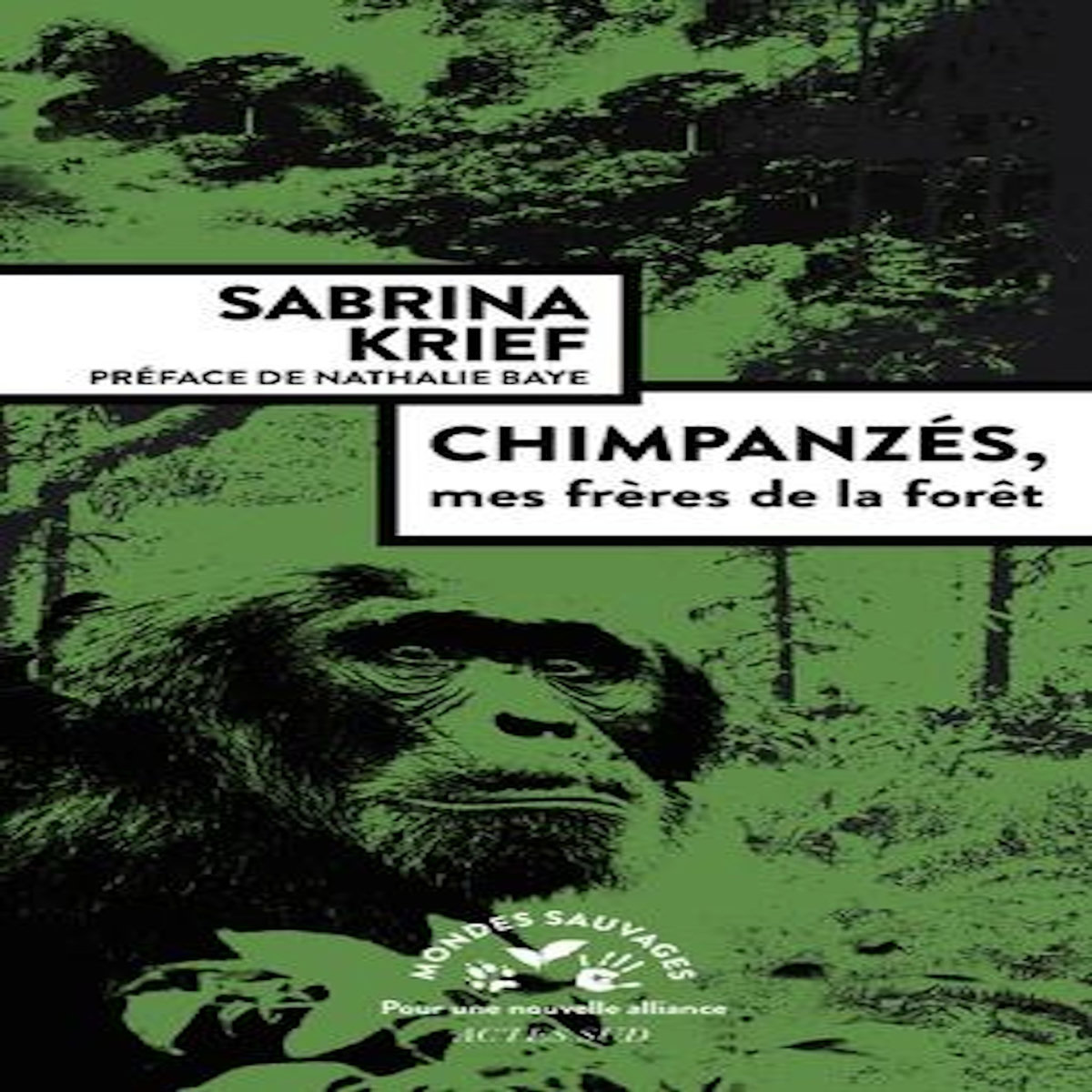 CHIMPANZES, MES FRERES DE LA FORET, Krief Sabrina