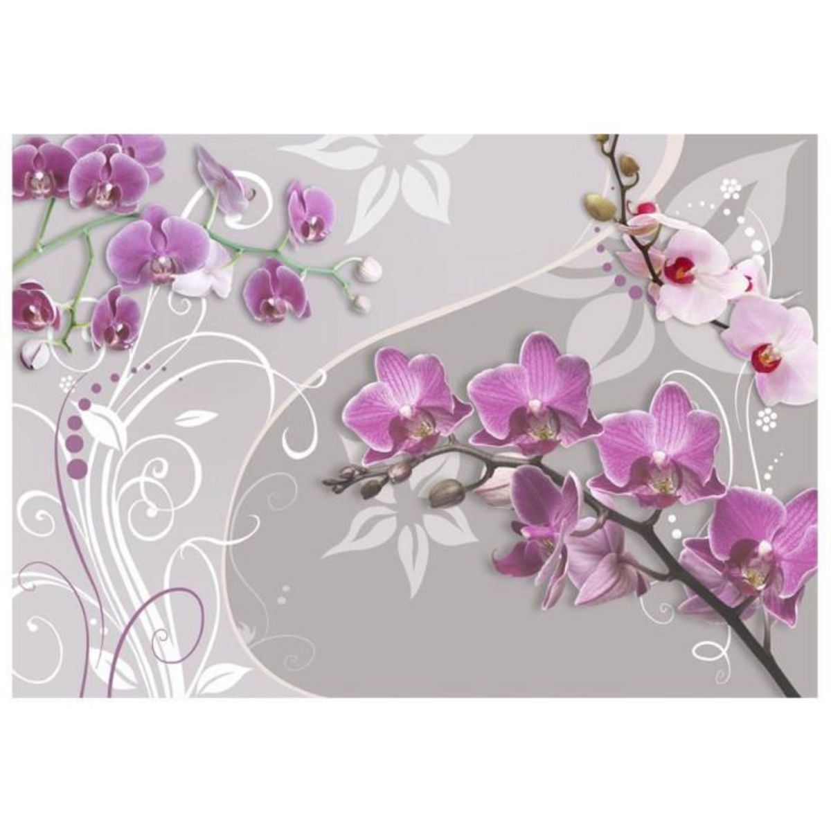 Paris Prix Papier Peint  Flight of Purple Orchids