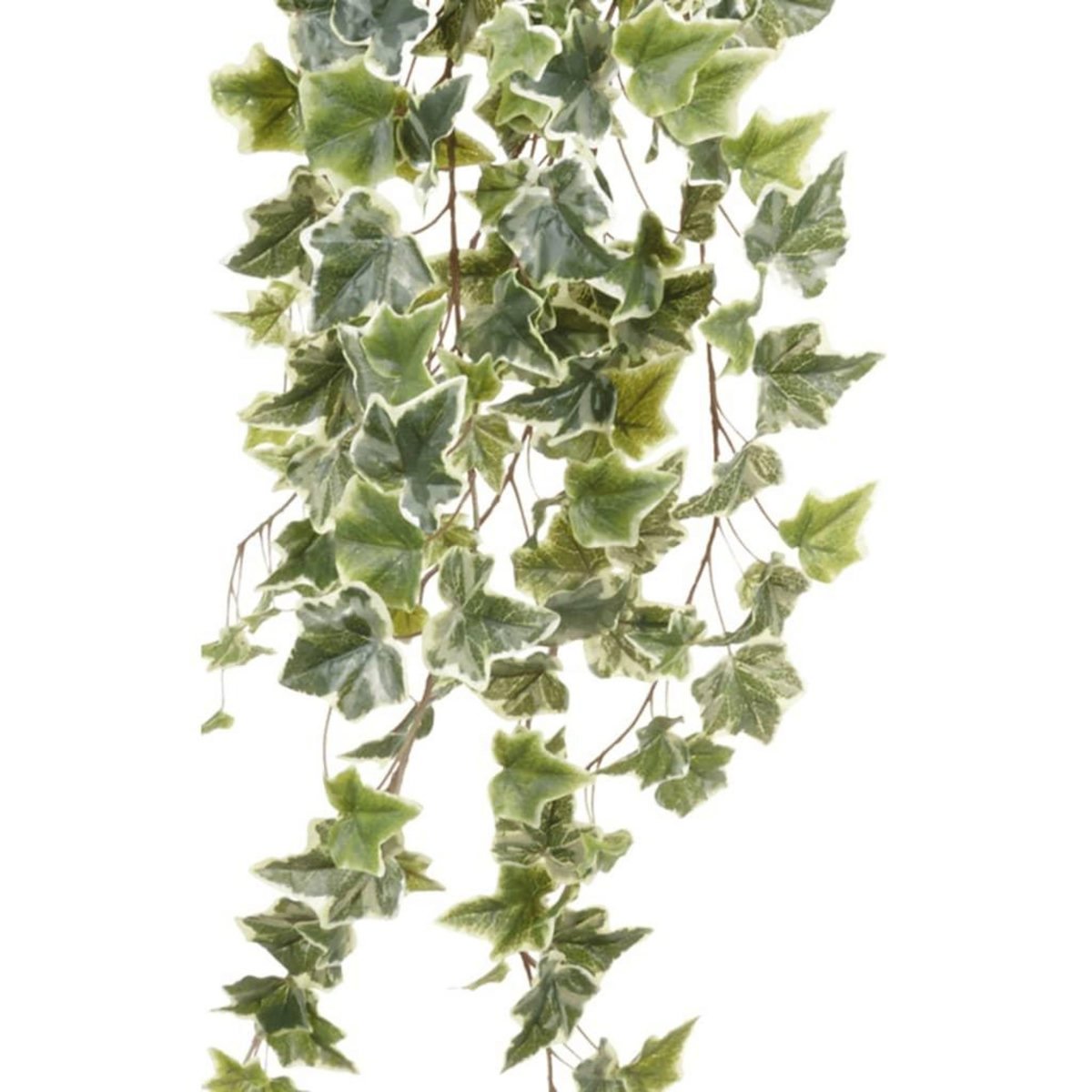 EMERALD Emerald Buisson de lierre artificiel 2 teintes Vert 100 cm 11.960