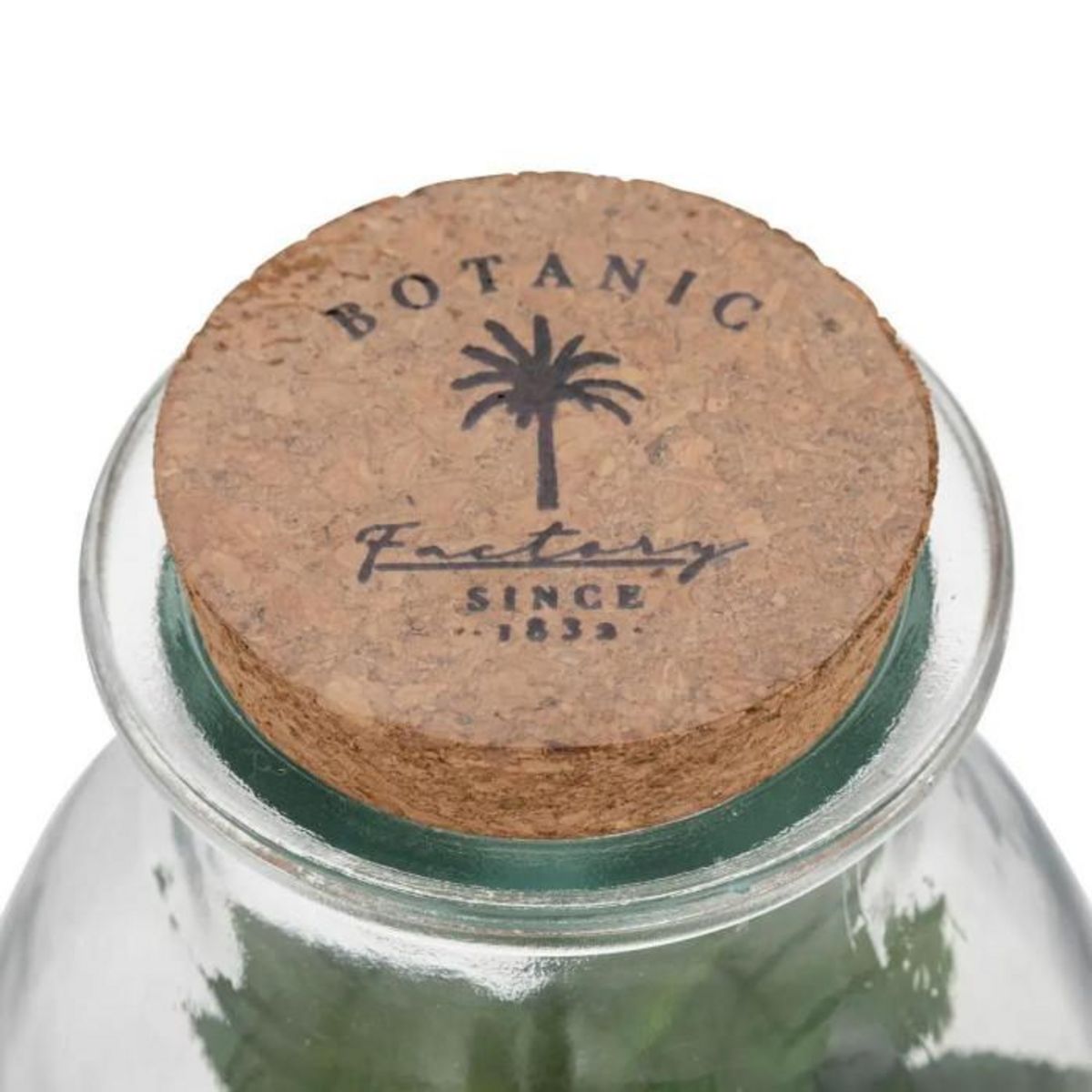 ATMOSPHERA Terrarium en Verre  Bota  19cm Transparent