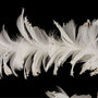 Voir la diapositive 2 : FEERIC LIGHT & CHRISTMAS Guirlande de Noël Plumes - 140 cm - Pailletées