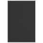 Voir la diapositive 1 : VIDAXL Paillasson noir 60x90 cm