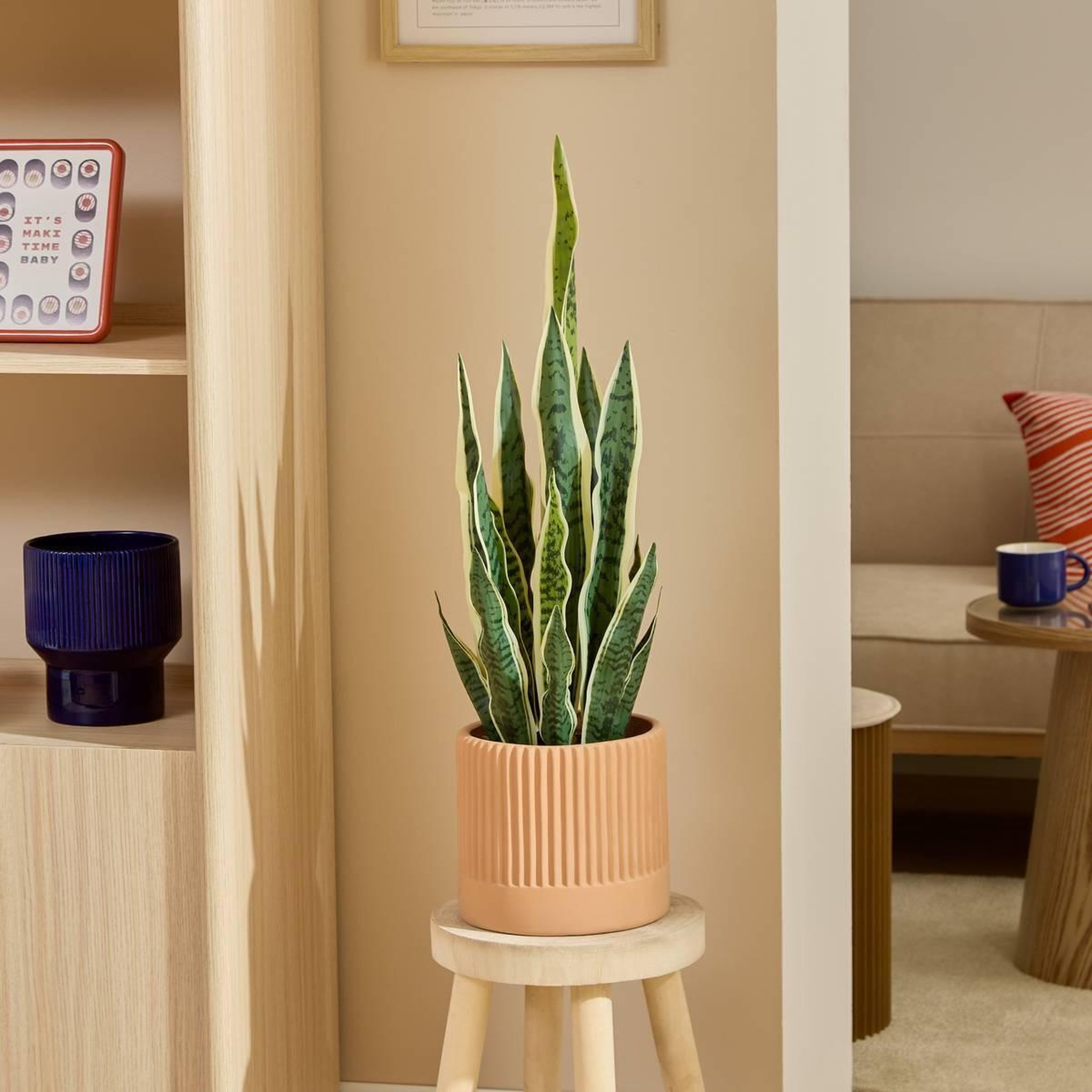 Voir la diapositive 4 : ATMOSPHERA Plante Artificielle en Pot  Sansevieria Nippo  78cm Marron