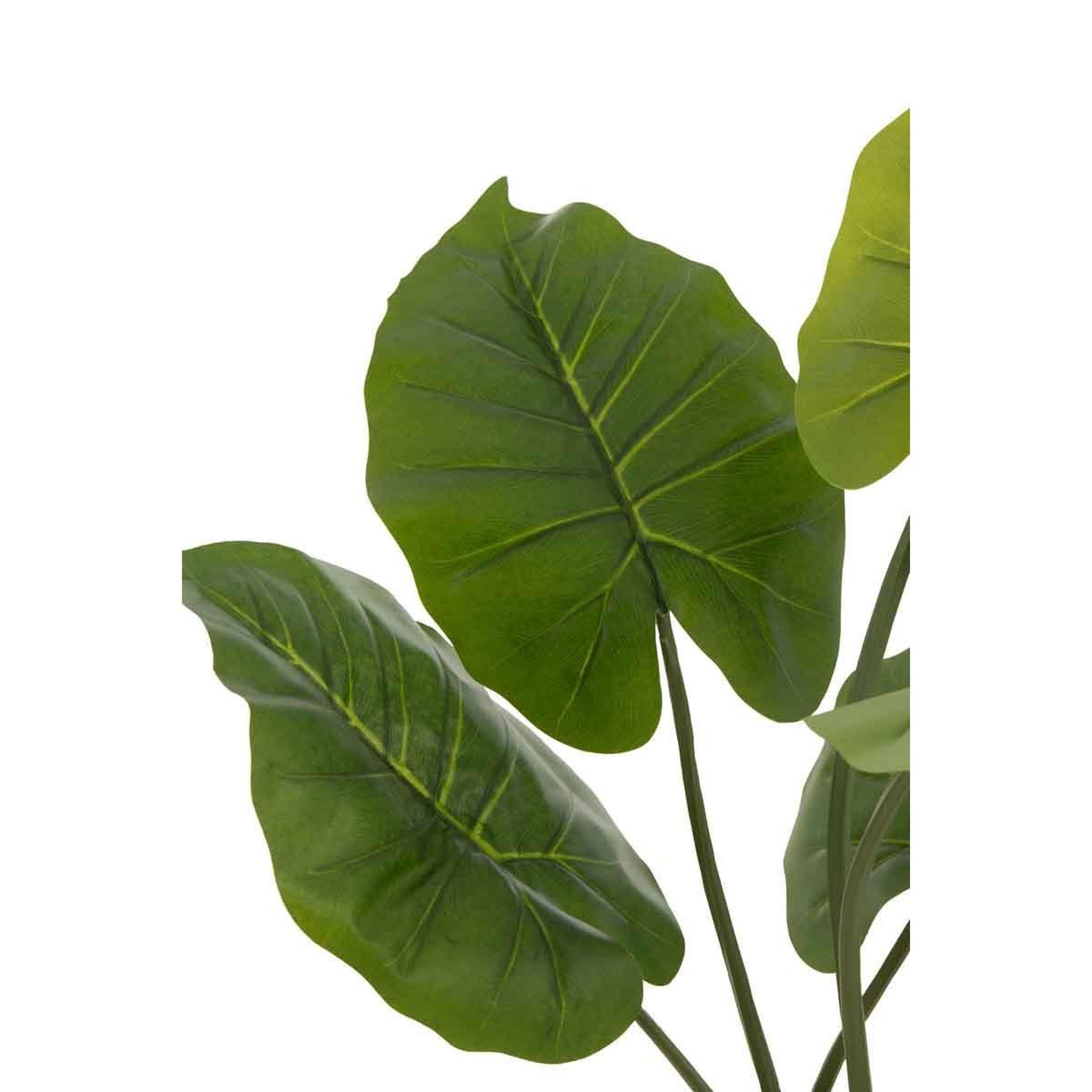 Voir la diapositive 2 : J-LINE Plante artificielle  taro sauvage  78cm vert