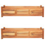Voir la diapositive 1 : VIDAXL Lits sureleves de jardin 2 pcs Bois d'acacia 100x30x25 cm