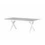 Voir la diapositive 6 : Paris Prix Table de Jardin  Garcia  200cm Gris