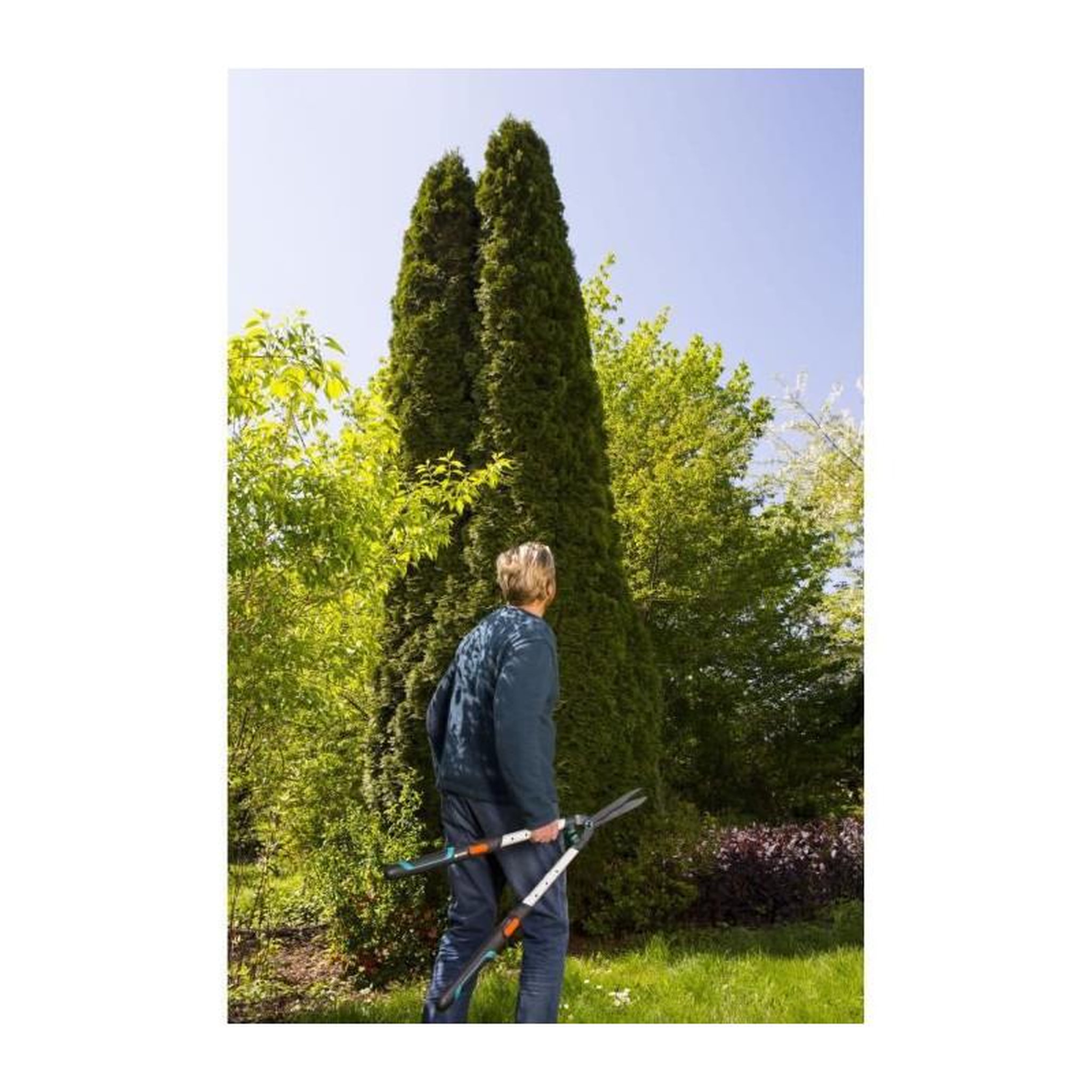 Voir la diapositive 3 : Gardena GARDENA Cisaille a haies TeleCut- Lames ondulees - Revetement anti-adherence - Manches ergonomiques + telescopiques - 12304-20