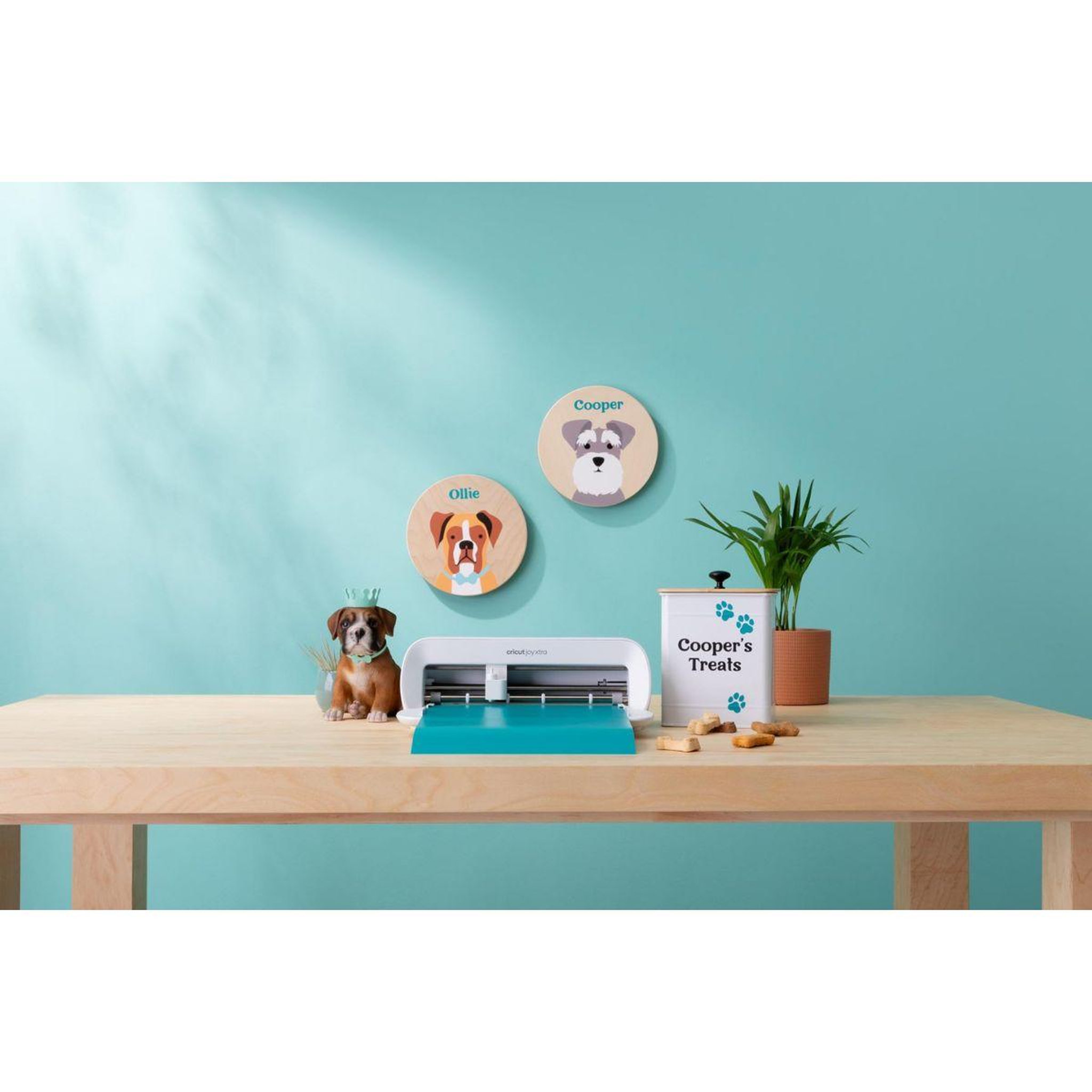 Voir la diapositive 5 : CRICUT Machine de découpe Joy Xtra Kit démarrage