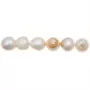 RICO DESIGN Perles nacrées - blanc - 10 mm