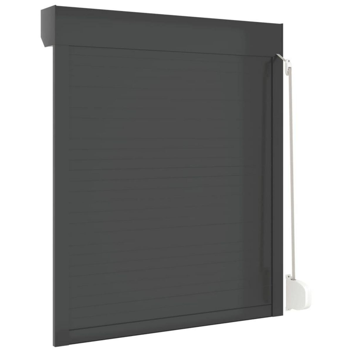 VIDAXL Volet roulant aluminium 100x120 cm anthracite