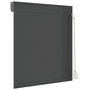 Voir la diapositive 5 : VIDAXL Volet roulant aluminium 100x120 cm anthracite