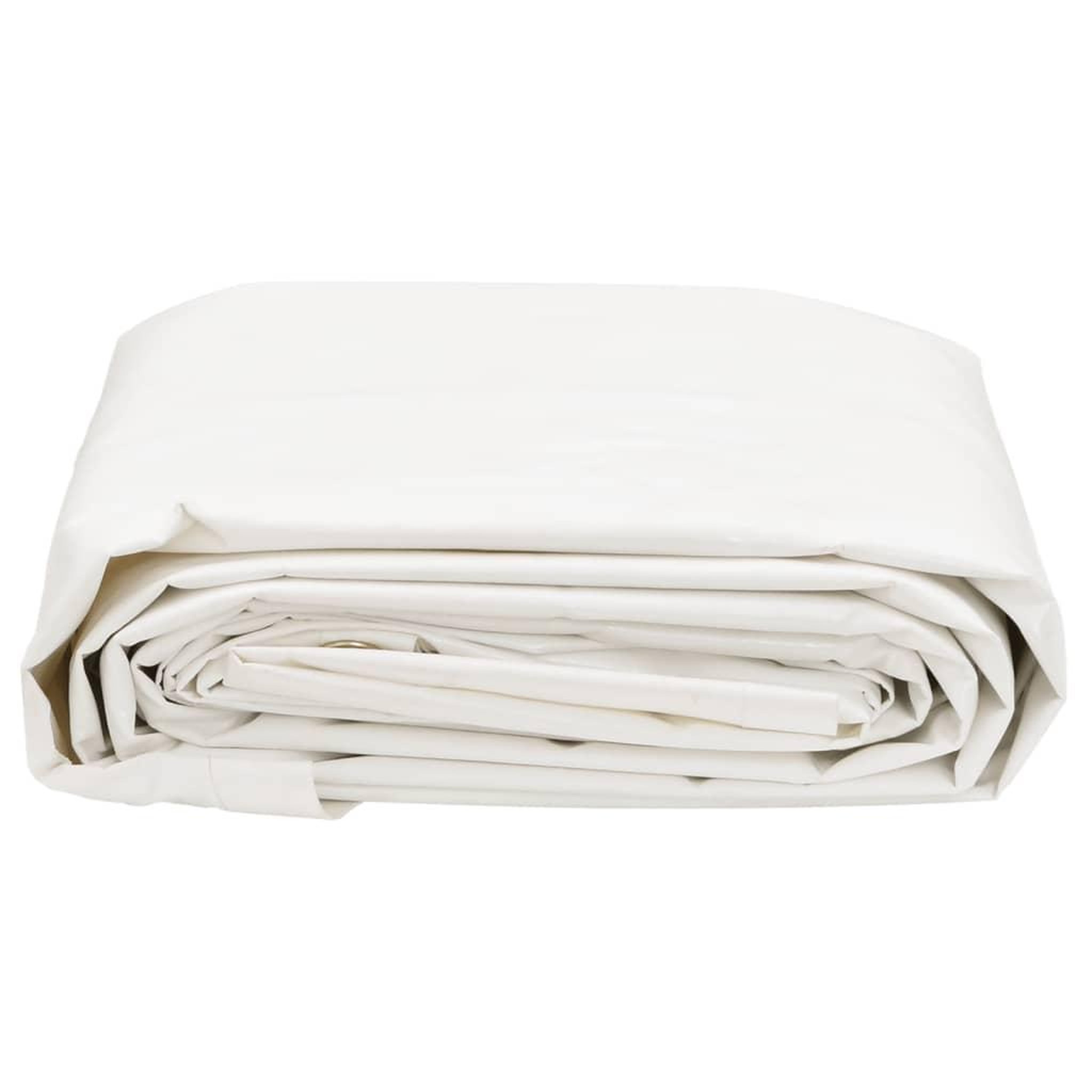 Voir la diapositive 3 : VIDAXL Bache blanc 5x6 m 600 g/m²