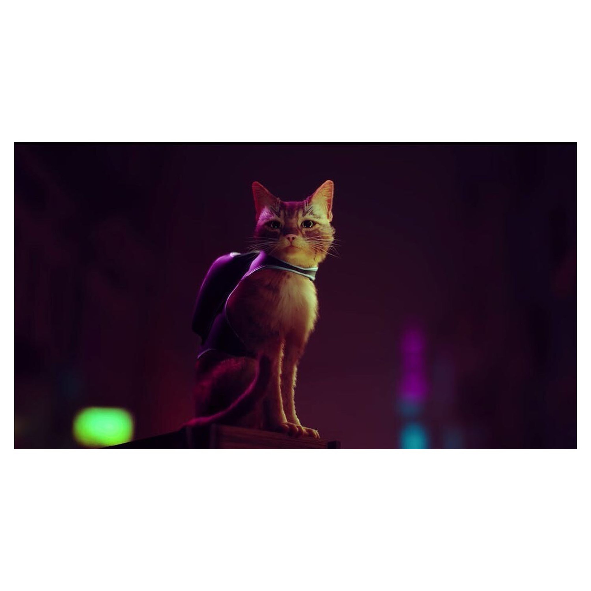 Voir la diapositive 7 : Stray PS5