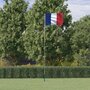 Voir la diapositive 1 : VIDAXL Drapeau de la France et mat 5,55 m Aluminium