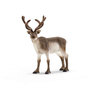 Voir la diapositive 2 : Schleich 14837 - WILD LIFE Renne