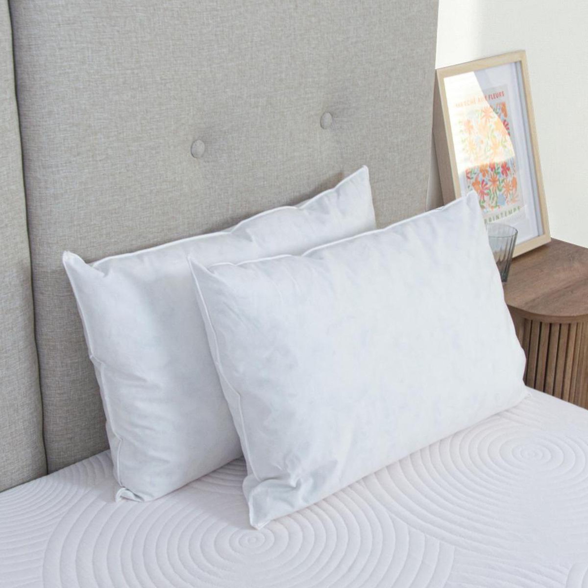 Voir la diapositive 6 : OLYMPE LITERIE Olympe literie | lot de 2 oreillers natura | duvet & plumess