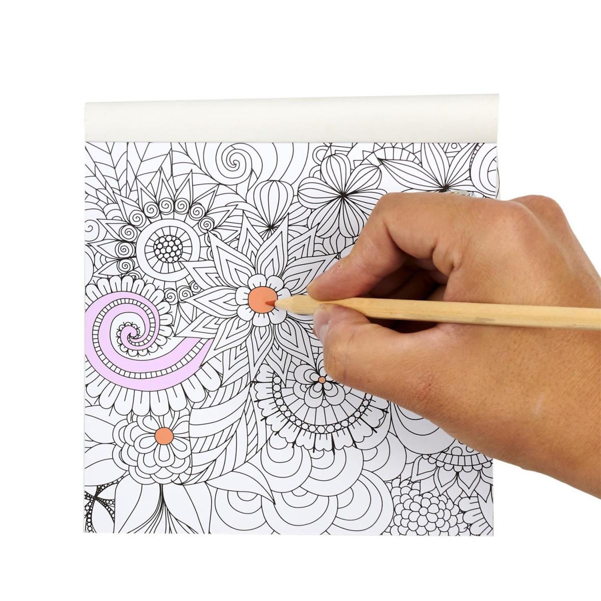 Voir la diapositive 2 : The concept Factory Livre de Coloriage 24 Pages  Adulte  15x15cm Blanc