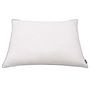 Voir la diapositive 3 : VIDAXL Oreiller lot de 2 Remplissage de duvet leger 70 x 60 cm Blanc