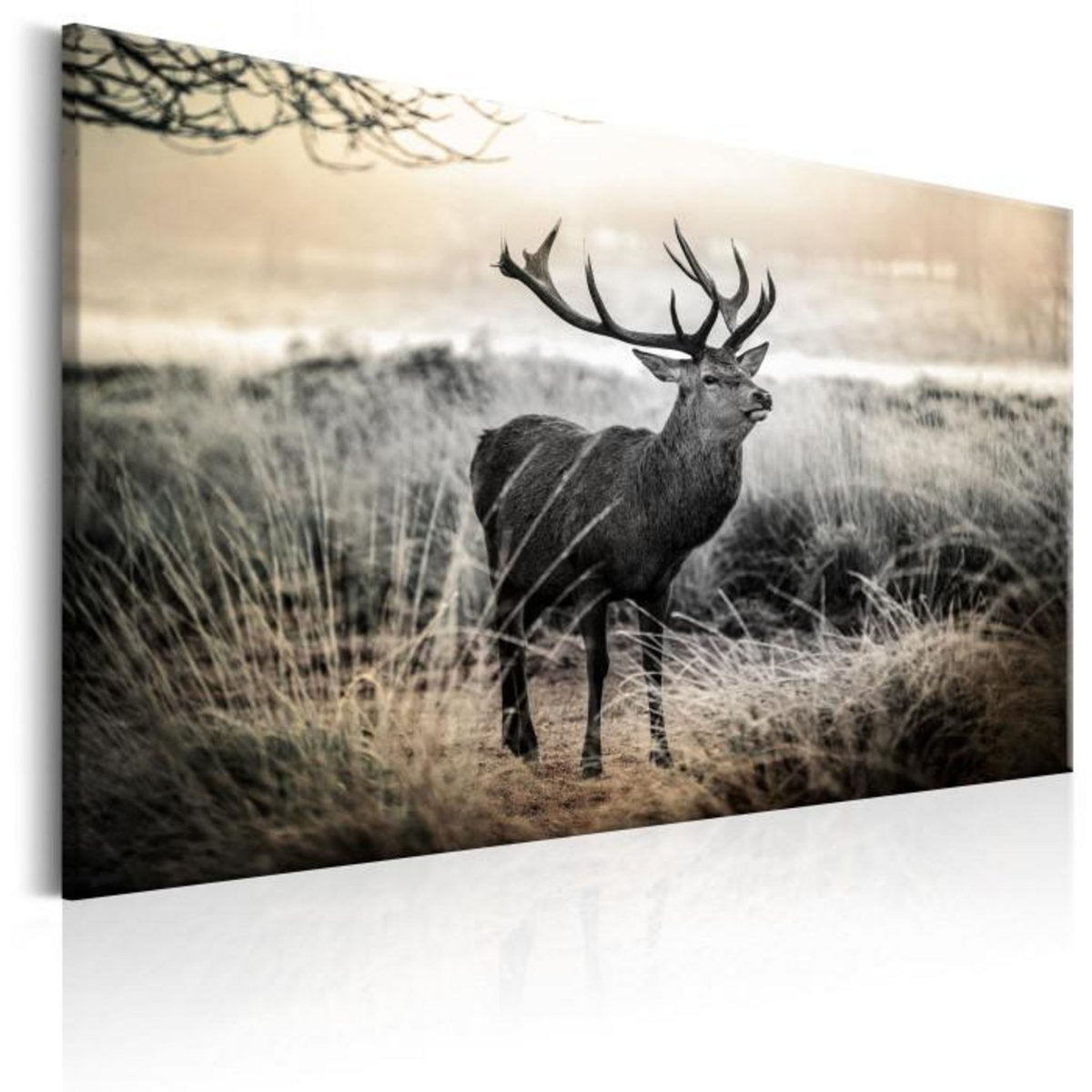 Paris Prix Tableau Imprimé  Dangerous Horns