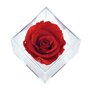 Voir la diapositive 2 : SC CRYSTAL Ecrin décoré d'une rose éternelle stabilisée - rouge