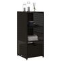Voir la diapositive 4 : VIDAXL Armoire de rangement de jardin noir 50x55x115 cm resine tressee