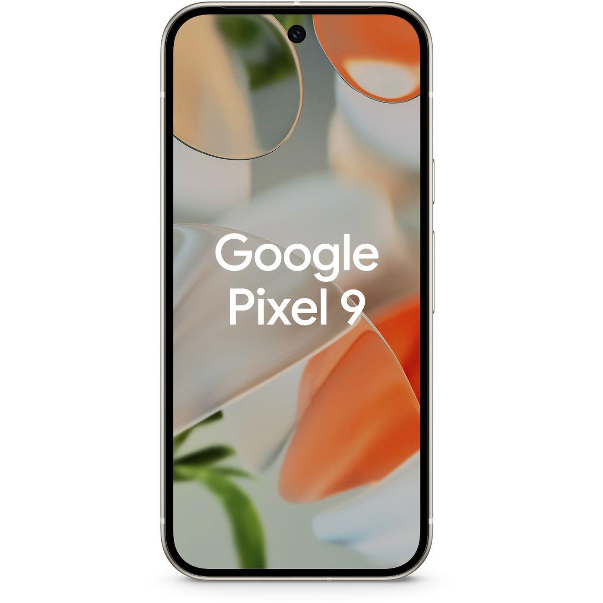Voir la diapositive 2 : GOOGLE Smartphone Pixel 9 Porcelaine 256Go