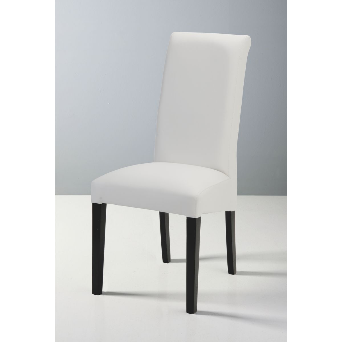 Lot de 2 chaises de s&#xE9;jour salle &#xE0; mager modernes MARIA