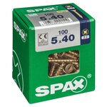CENTRALE BRICO Lot de 100 vis acier tête fraisée pozidriv SPAX, Diam.5 mm x L.40 mm
