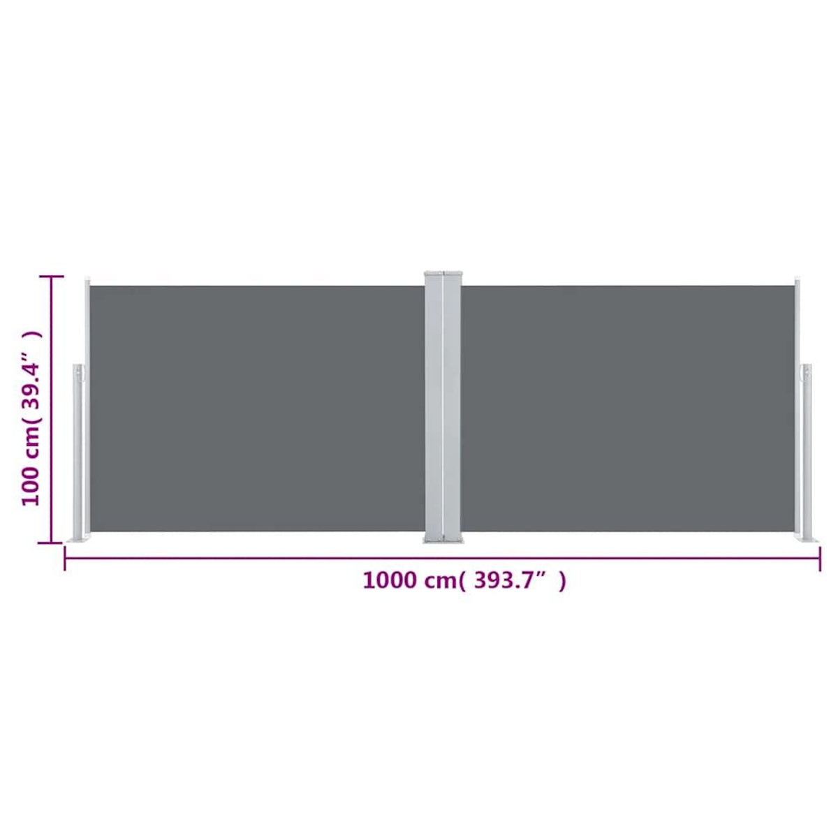 VIDAXL Auvent lateral retractable Anthracite 100 x 1000 cm
