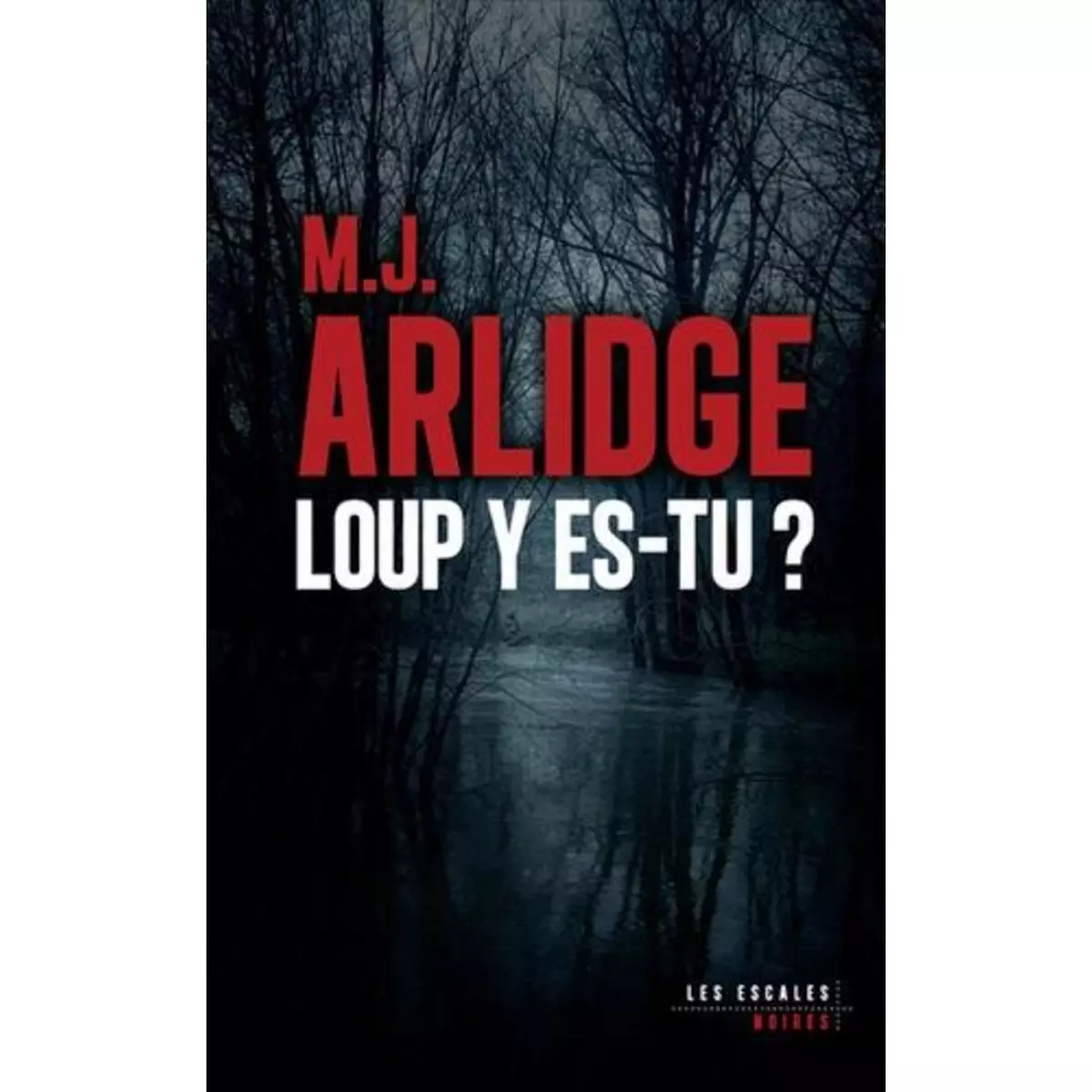  LOUP Y ES-TU ?, Arlidge M. J.