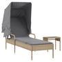 Voir la diapositive 2 : VIDAXL Chaise longue avec auvent et table beige resine tressee