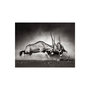 Voir la diapositive 2 : Paris Prix Papier Peint  Gazelles en Lutte, Dunes de la Namibie