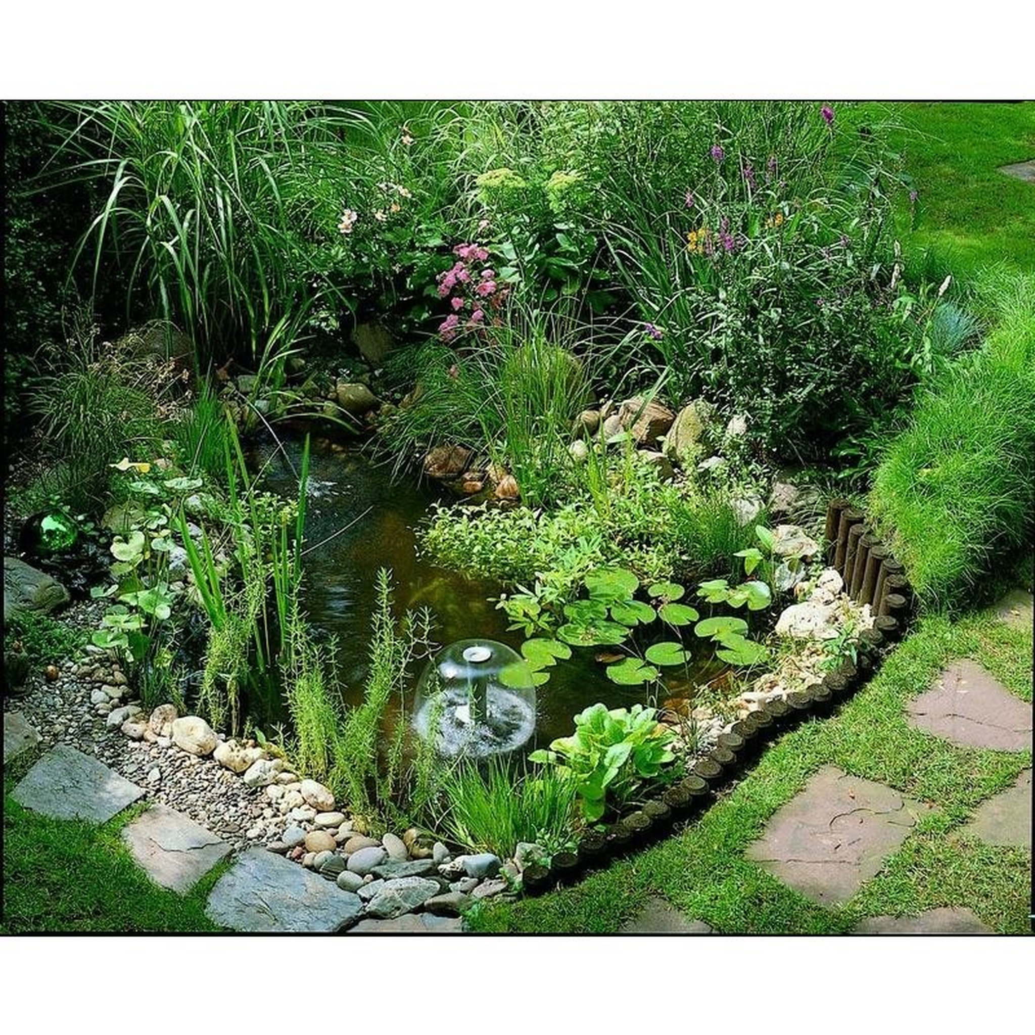 Voir la diapositive 1 : UBBINK Kit bassin de jardin - 250 litres - START