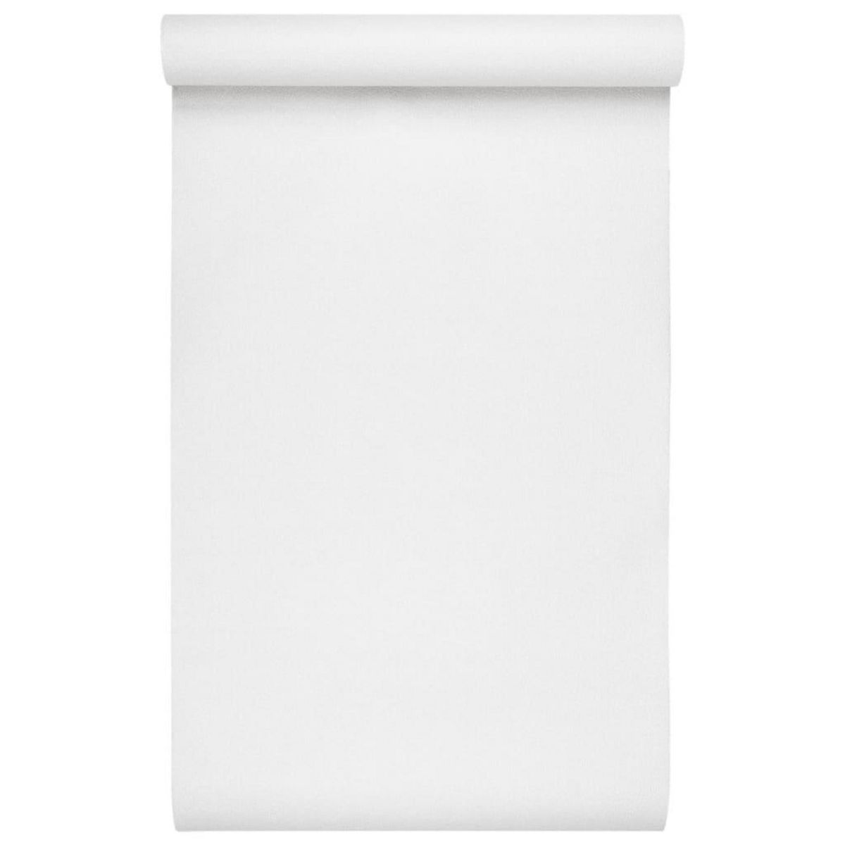 VIDAXL Papier peint 3D couleur unie beige 10x0,53 m non tisse