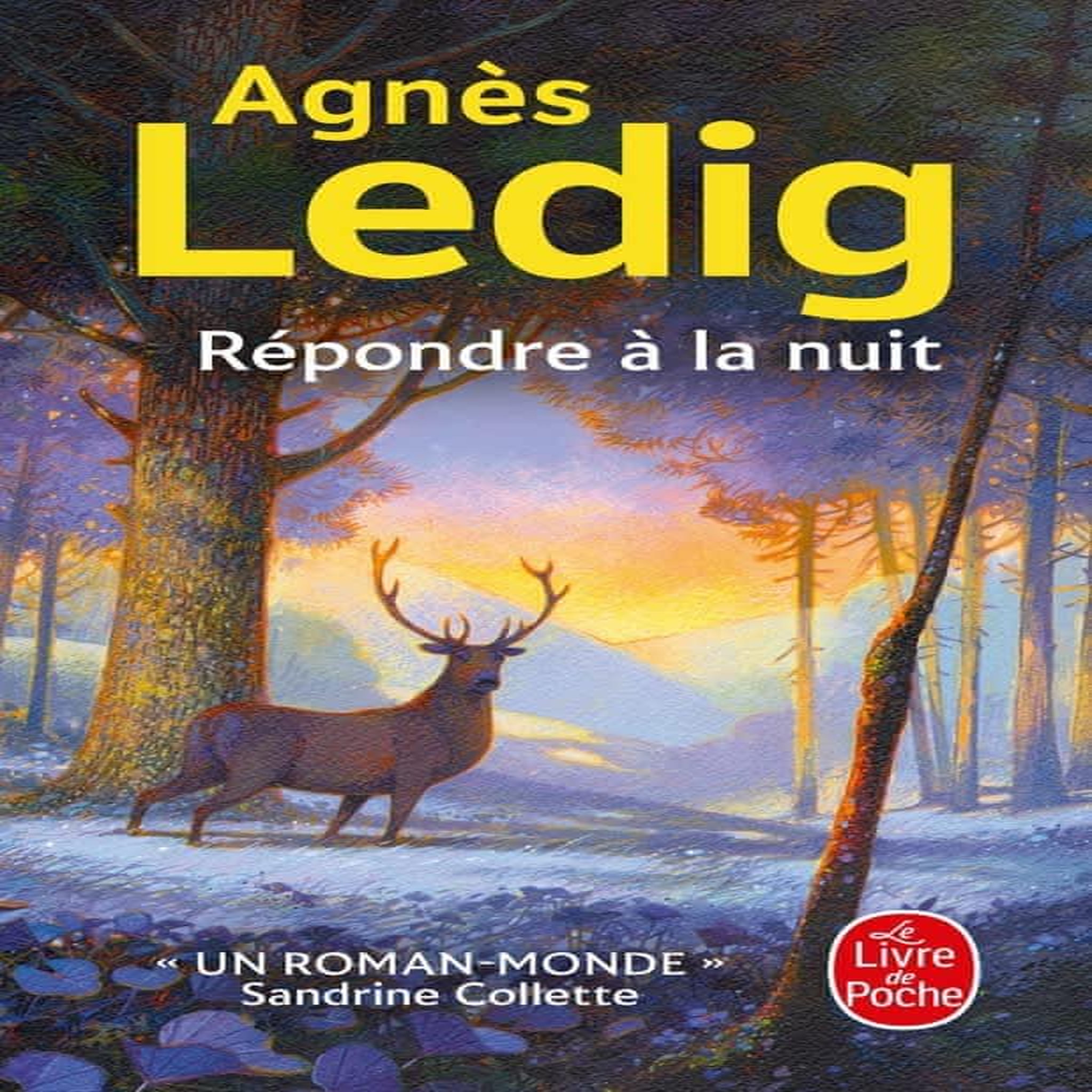 REPONDRE A LA NUIT, Ledig Agnès