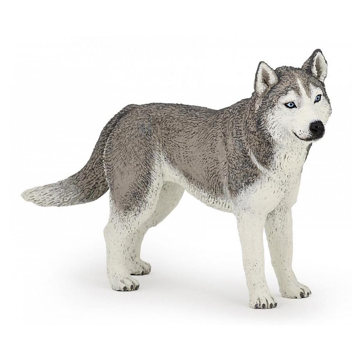 Papo 54035 Husky de sibérie les chien