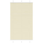 VIDAXL Store plisse creme 120x200cm largeur du tissu 119,4cm polyester