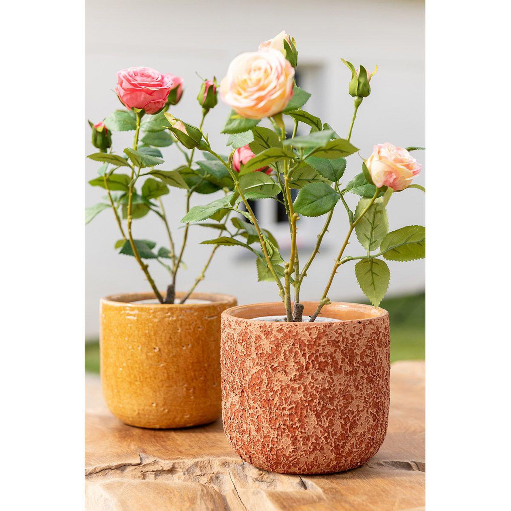 Voir la diapositive 2 : J-LINE Plante Artificielle en Pot  Rosier  38cm Jaune