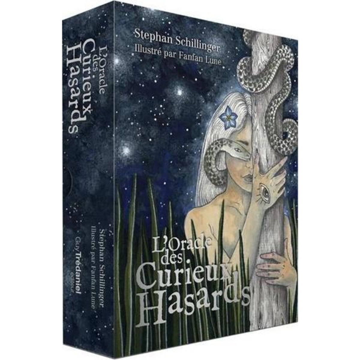 L'ORACLE DES CURIEUX HASARDS, Schillinger Stephan