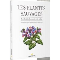 Le chemin des herbes - Du Midi à l'Atlantique : identifier et utiliser 80  plantes sauvages médicinal