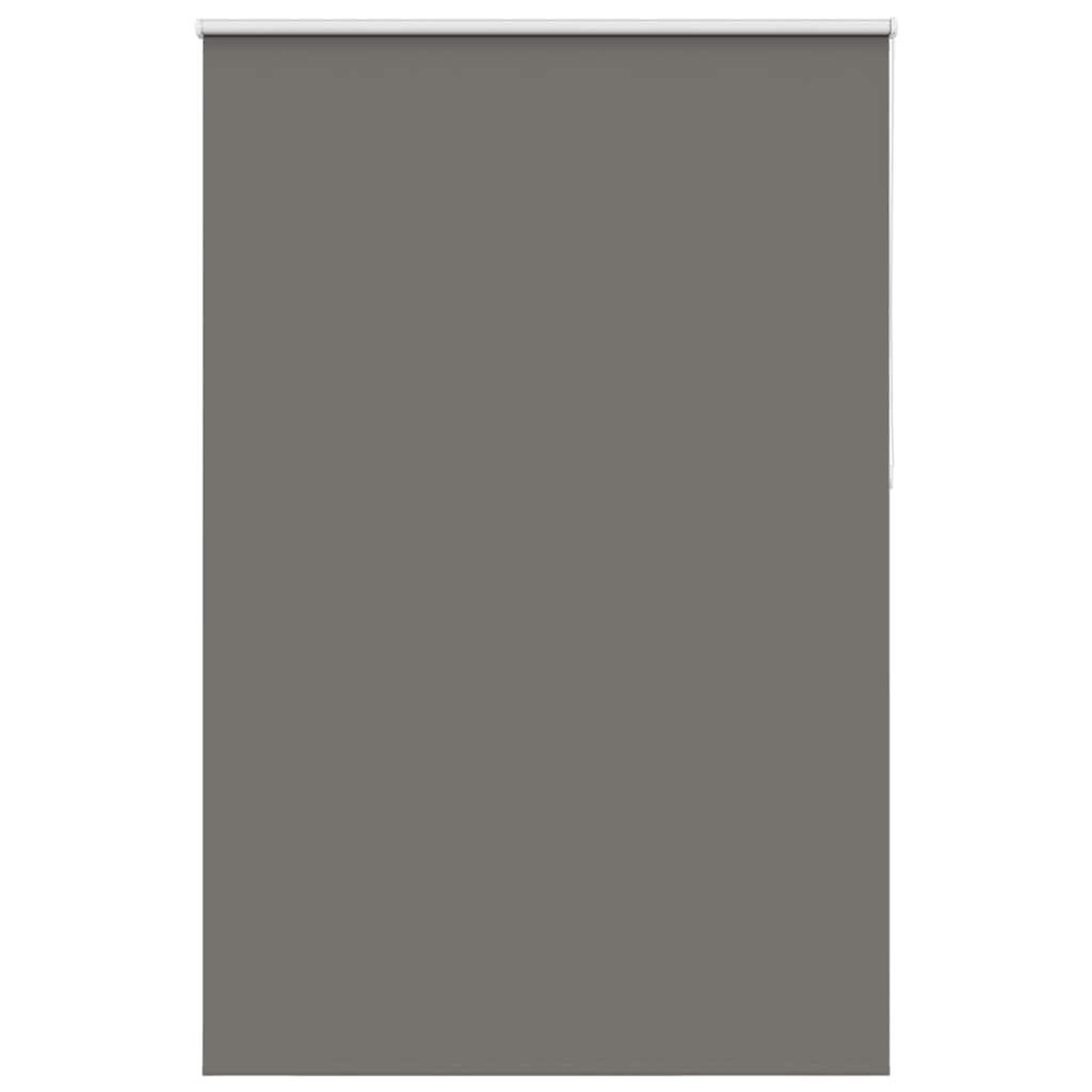 Voir la diapositive 2 : VIDAXL Store enrouleur occultant largeur du tissu 161,6 cm polyester